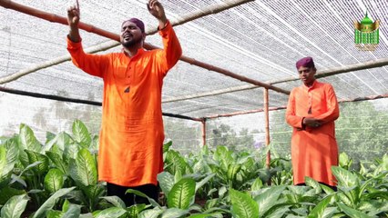 Sabir Da Peer Sohnra | Naat | Faridi Brothers | Prophet Mohammad PBUH | HD