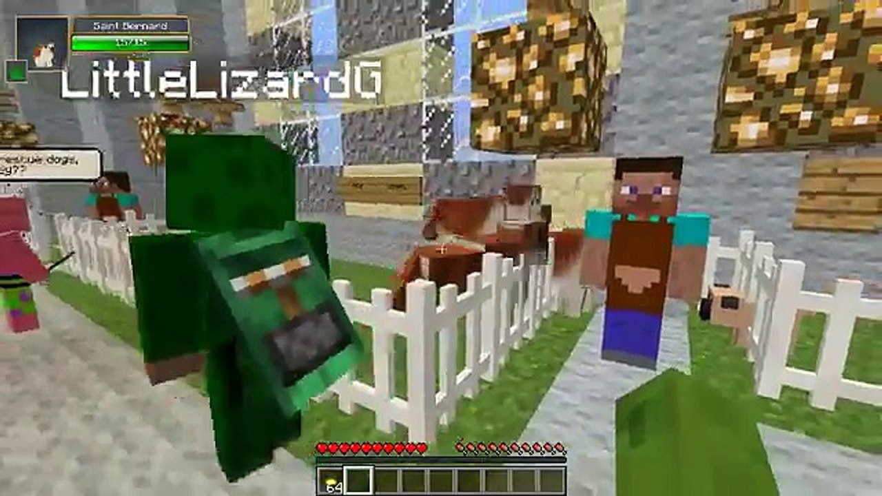 Minecraft School : VISITING THE PET STORE!