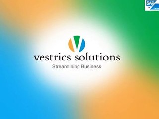 Vestrics Solutions - Get Best Service SAP Business One
