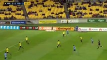 Filip Holosko 0-1 Goal ● Wellington Phoenix vs Sydney FC 1-1 final score