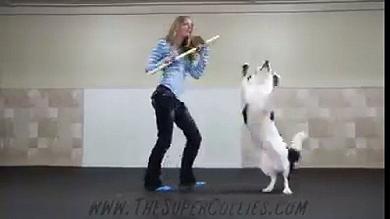 very good dog
