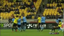 Wellington Phoenix v Sydney FC 1-1. Roy Krishna Goal. 19.12.2015