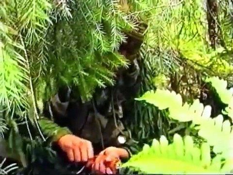 Спецназ ВДВ. Прикрытие отхода группы снайперами