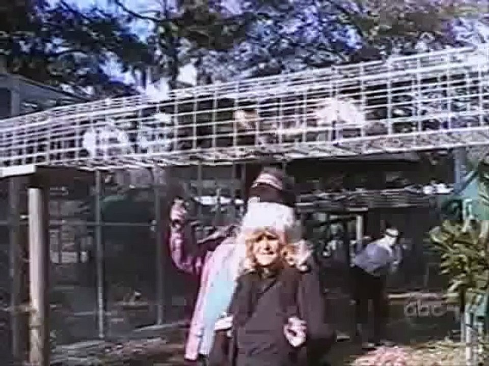 29 singes qui font des bétises en 38 secondes