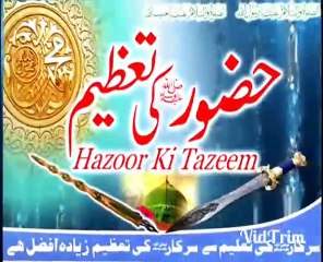 Ahlesunnat ki tarjumani Hazrat Ali رضی اللہ عنہ kay zariye By Allama Khadam Hussain Rizvi