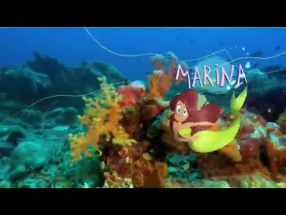 Zig & Sharko - The Submarine (S01E16) _ Full Episode in HD(1)