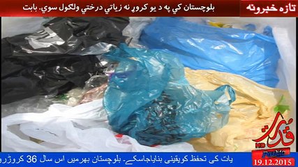 ډېر ژر به بلوچستان کي د یو کروړ نه زیاتي ونی وکرل سي. ایالتي وزیر ځنګلات