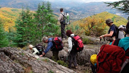2011-11-08 WE Cévennes