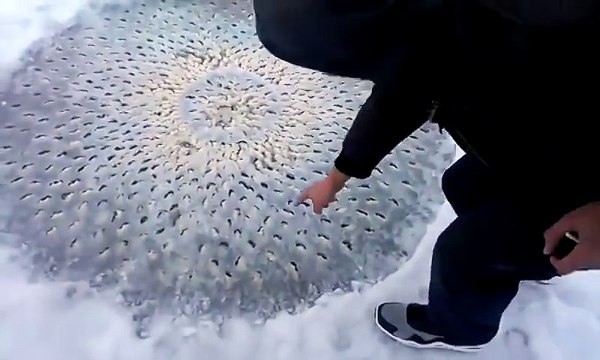 Ils marchaient sur un lac gelé quand ils ont repéré quelque chose de bizarre