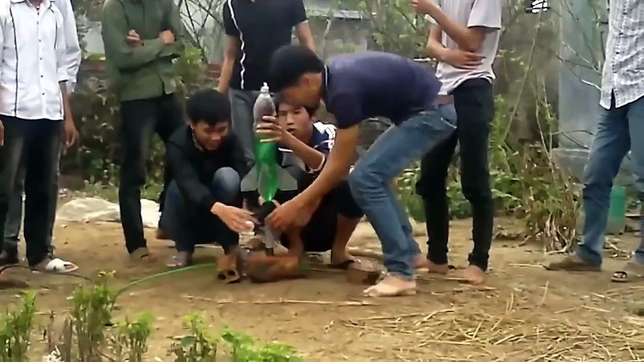 Thanh Niên Việt Nam Bắn Tên Lửa Siêu Hài
