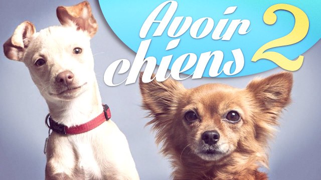Natoo-Avoir 2 chiens