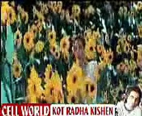 Haye Mera Dil Tera Dil - Heartfelt Song You Can't Miss 🎶