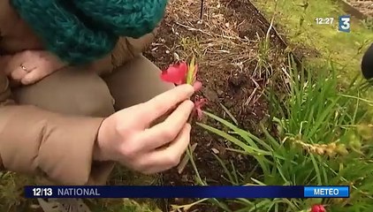 Météo : une douceur exceptionnelle