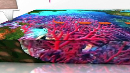 O fenômeno climático El Niño