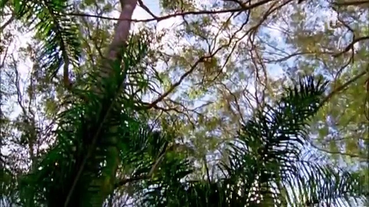 Lightning point S1 E6 Coup de foudre