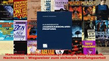 Download  Handbuch Jahresabschlussprüfung Ziele Technik Nachweise  Wegweiser zum sicheren Ebook Online