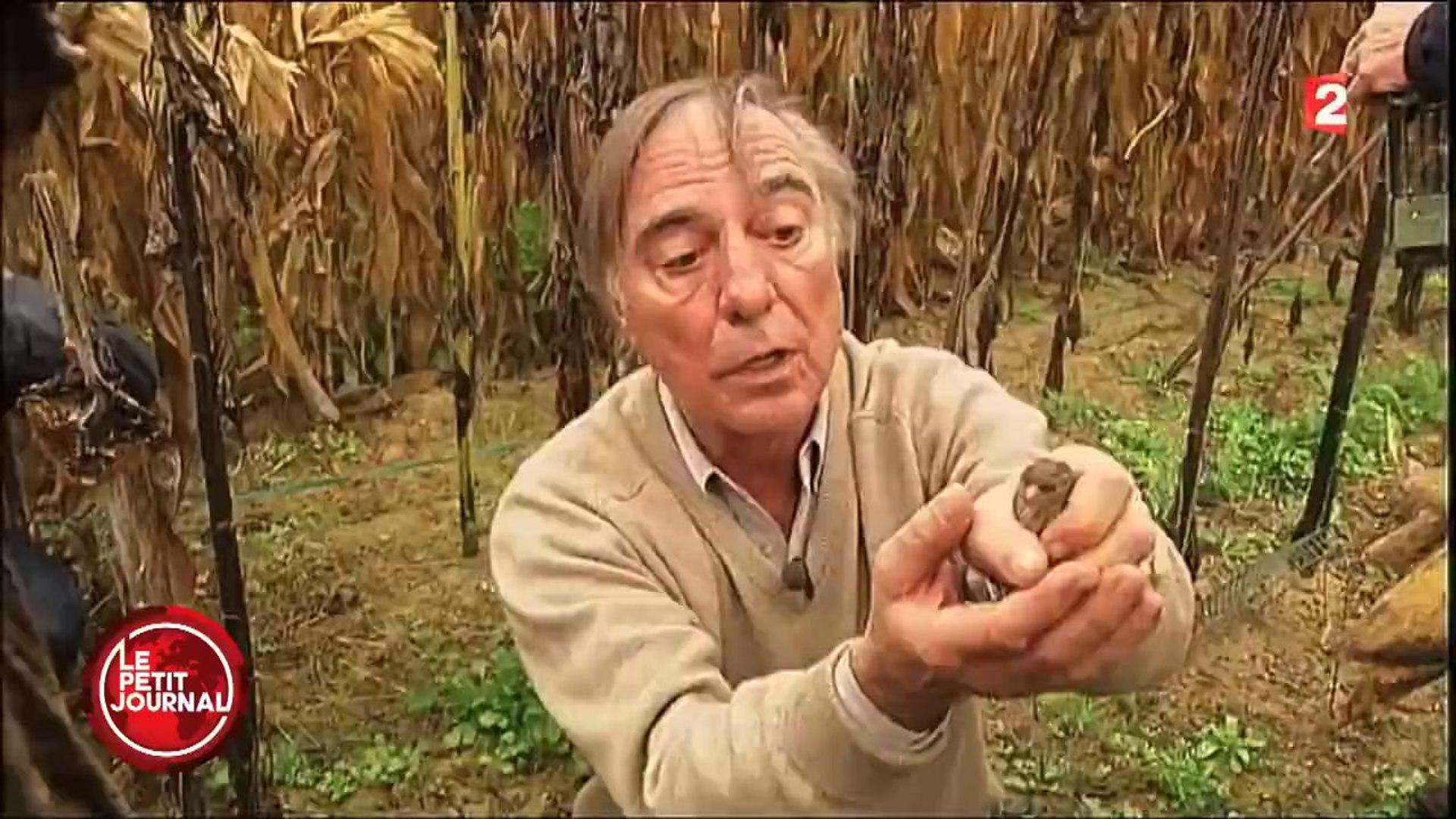 Le Retour De L Homme En Slip Avec Une Pelle Video Dailymotion