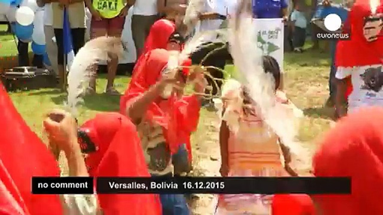 Turtle release