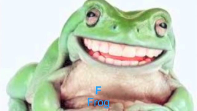 alphabets The Animal Sounds - ABC Song the animal sounds