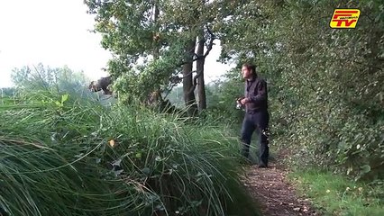 Pascal Dardenne - Pêche de la perche en surface