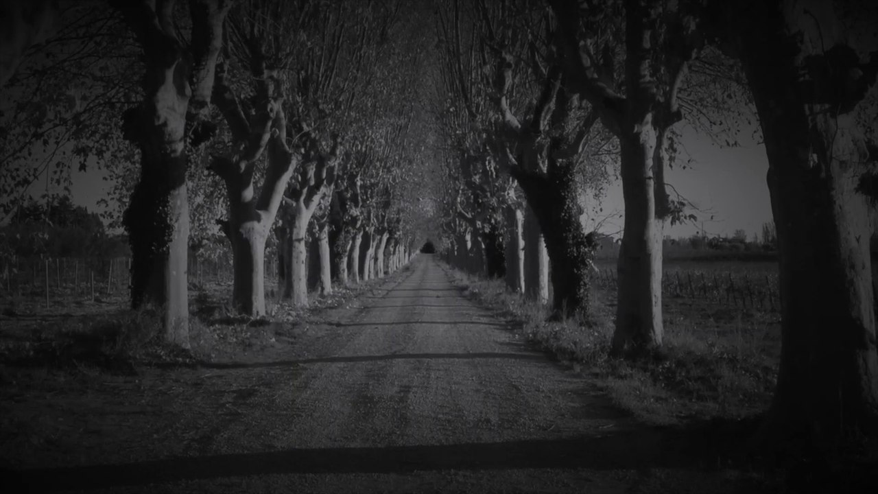 Piano music - "Overgrown" by Victoria M Music