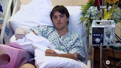 Un Monde Mortel, Les Animaux Se Dechainent