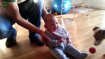 Babies Laughing Hysterically at Dogs Compilation 2016 [HD]