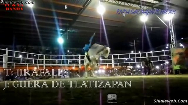 JARIPEO TORO DE LOS DESTRUCTORES DE MEMO OCAMPO PROFESOR JIRAFALES JR RANCHO LA MISION TEJALPA MORELOS MEXICO DICIEMBRE 2015