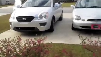 After Seeing This Heartwarming Dog Reunion, Your Day Will be SO Much Better!