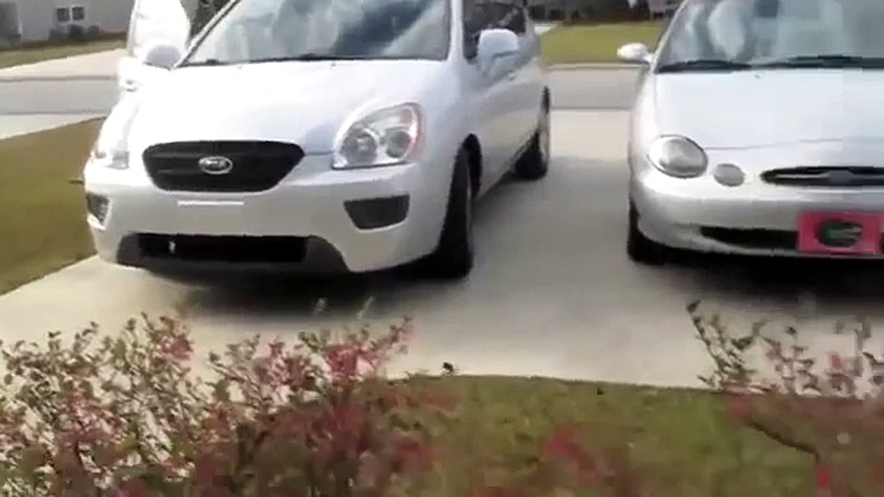 After Seeing This Heartwarming Dog Reunion, Your Day Will be SO Much Better!