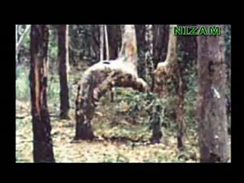 Mojeza Lion Says ALLAH Watch Video Dailymotion