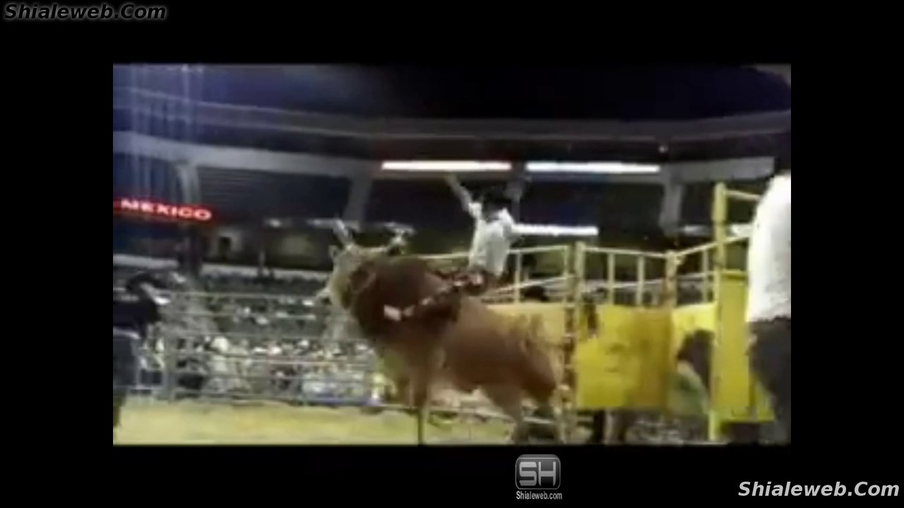 JARIPEO LOS DESTRUCTORES DE MEMO OCAMPO REGRESAN A CHICAGO CON SUS TOROS MAS SALVAJES LOGRANDO EXELENTES MONTAS CAIDAS Y PORRAZOS DICIEMBRE 2015