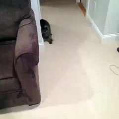 После хороших выходных