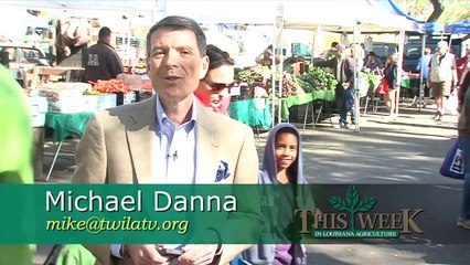 Strawberry Farmers in the Red