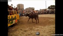 JARIPEO POR PRIMERA VEZ LOS DESTRUCTORES DE MEMO OCAMPO EN CHICAGO LOS TOROS MAS SALVAJES DE ESTA GANADERIA EN USA DICIEMBRE 2015