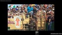 JARIPEO TOROS DE LOS DESTRUCTORES DE MEMO OCAMPO EN LA SEGUNDA GIRA EN CHICAGO USA IMPRESIONANTES MONTAS Y CAIDAS DICIEMBRE 2015