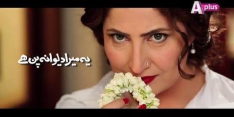 Ye Mera Deewanapan Hai Episode 36 P1 A PLUS DRAMA 19 DEC