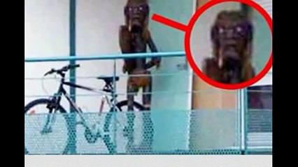 صور التقطت بعدسة كاميرا google maps لم تفسربعد - 3ajaib wa gharaib 2015 عجائب وغرائب