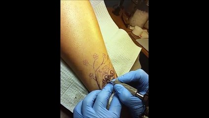 LIL OWL TATTOO VIDEO