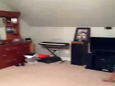 funny whatsapp videos Amezing