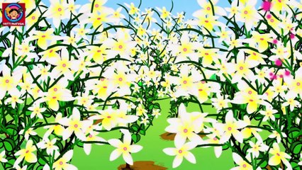 KZKCARTOON TV-Poombatta -Malayalam Kids Songs- Malayalam Kutti Paatugal