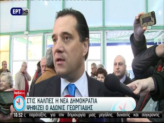 Ψήφισε ο Άδωνις Γεωργιάδης