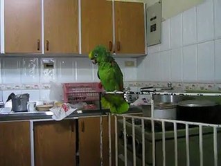 Lora cantando villancicos