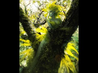 Luc Romann  Les femmes vertes HD