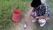 The best funny of 2016 Funny Videos Awesome fishes trap in a small lake many fishes catched 2015