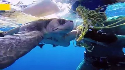 Saving a life is a truly wonderful thing!