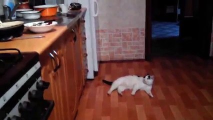 Ты не ты когда голоден