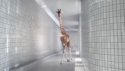5.80 metres (Giraffe) - Nicolas Deveaux