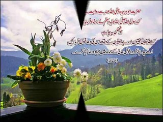Zameen Meli Nai Hoti Zaman Mela Nai Hota - Naat