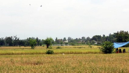 Moments of jet crashed in Yogyakarta Aerospace Gebyar